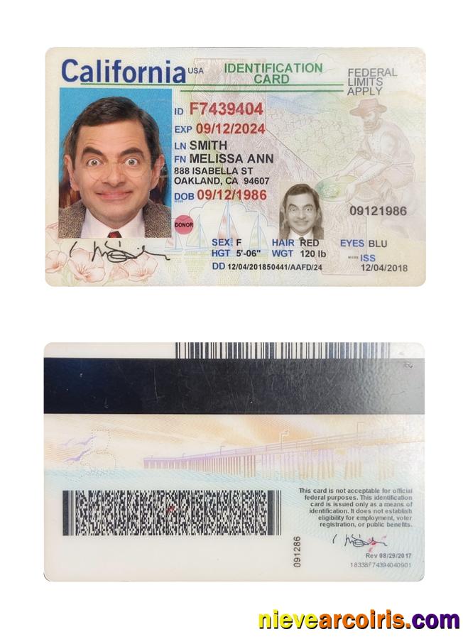 USA California ID card